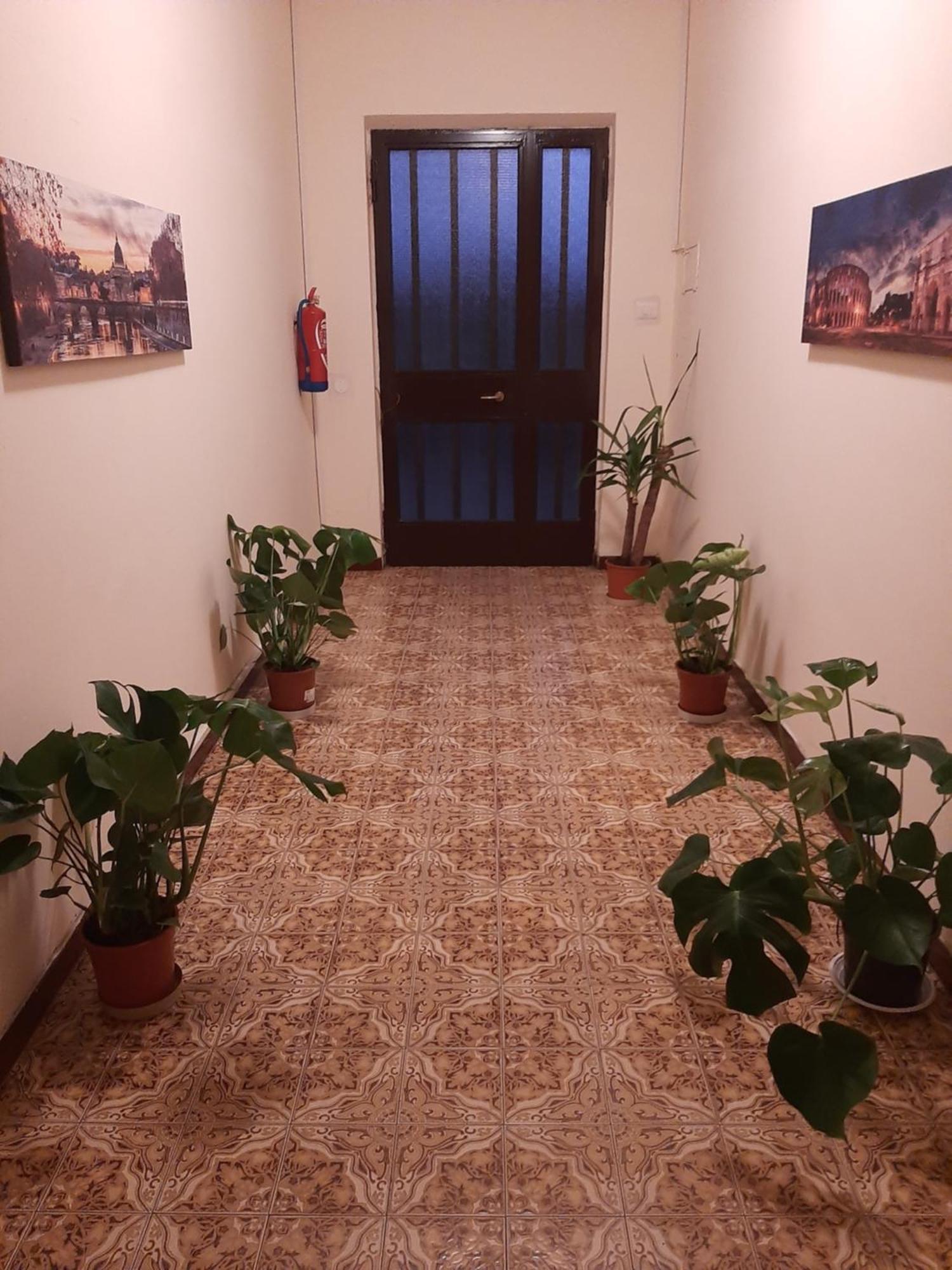 Apartment La Bouganville - Grazioso Con Giardinetto