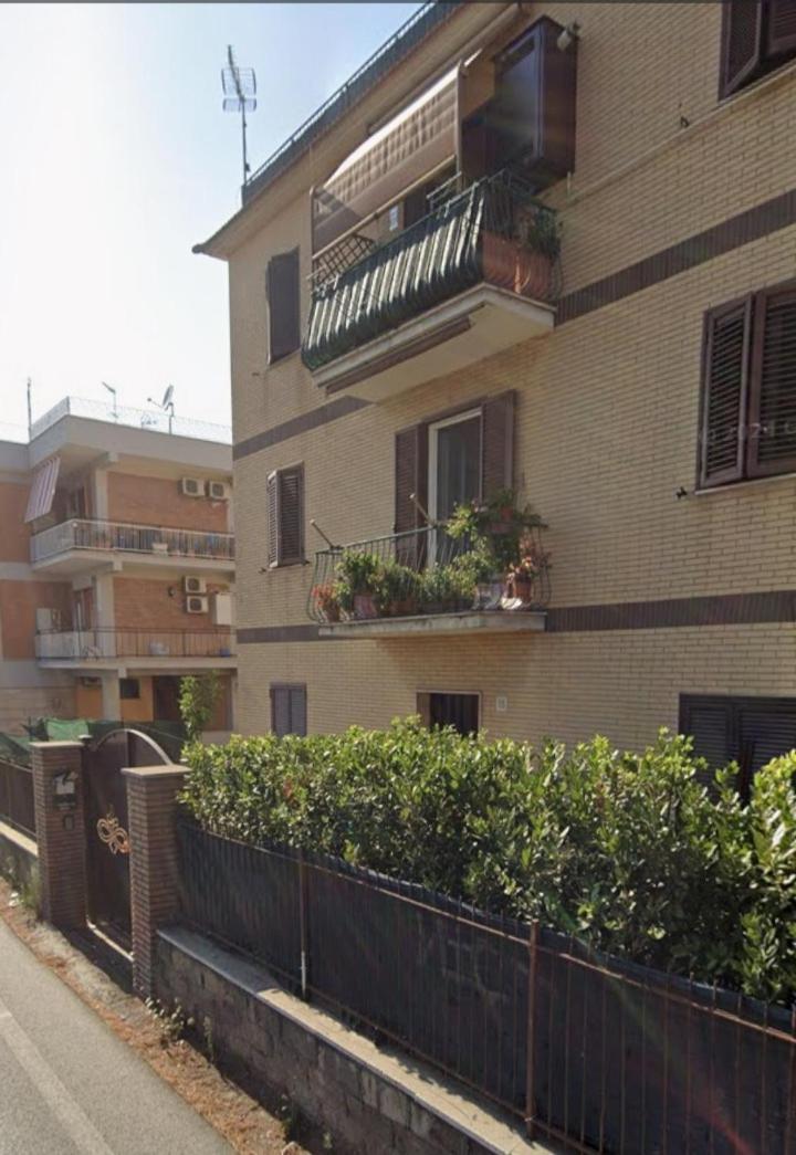 La Bouganville - Grazioso Con Giardinetto Appartamento Roma